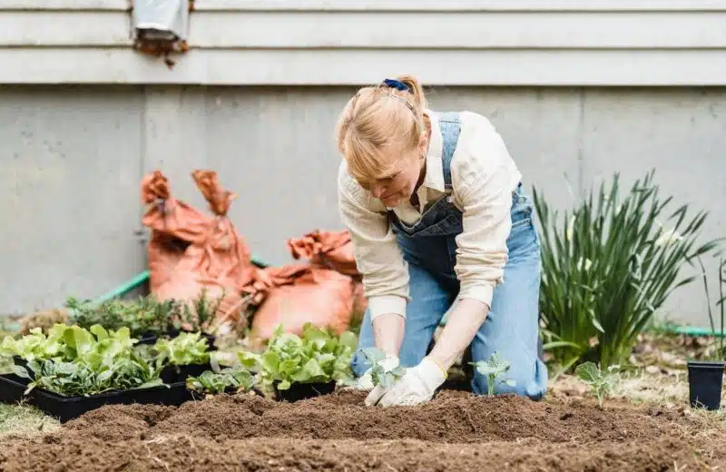 Les bienfaits bénéfiques du jardinage pour la santé des seniors